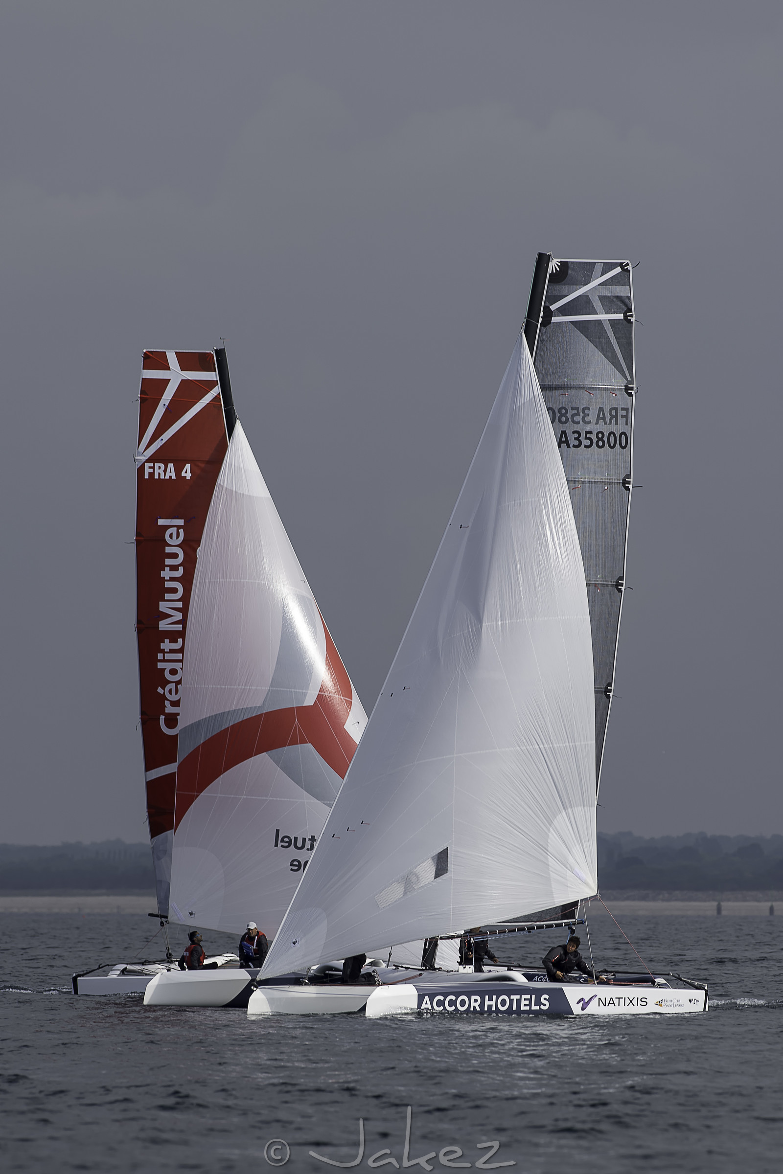 56-multyco-2016.jpg