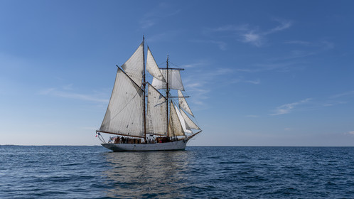 76-etoile.jpg