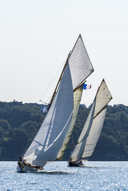157-hoalen-2024.jpg