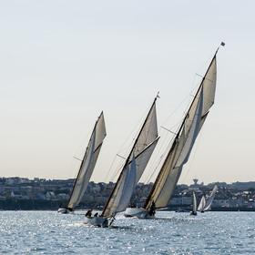 168-hoalen-2024.jpg