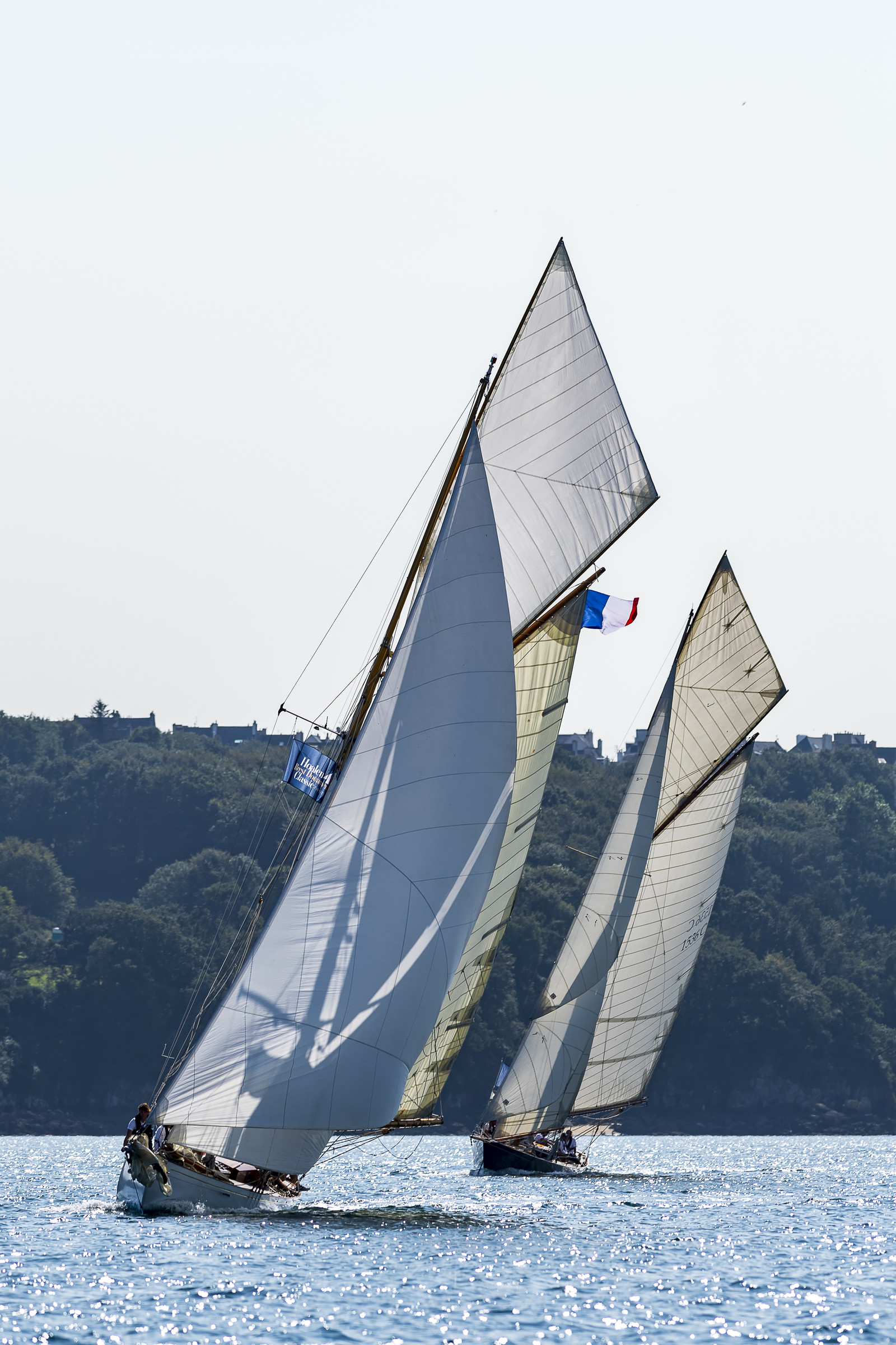 157-hoalen-2024.jpg