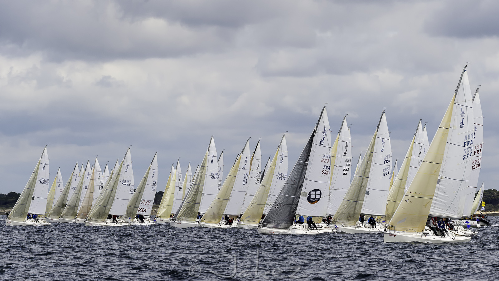 145-spi-2017.jpg