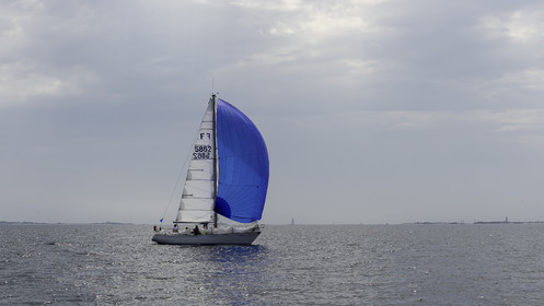 321-osiris-irc-samedi-.jpg