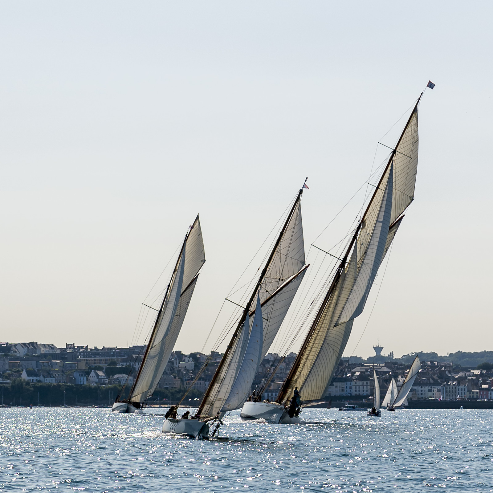 168-hoalen-2024.jpg