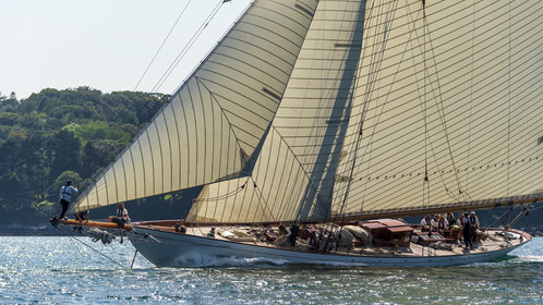 105-hoalen-2024.jpg