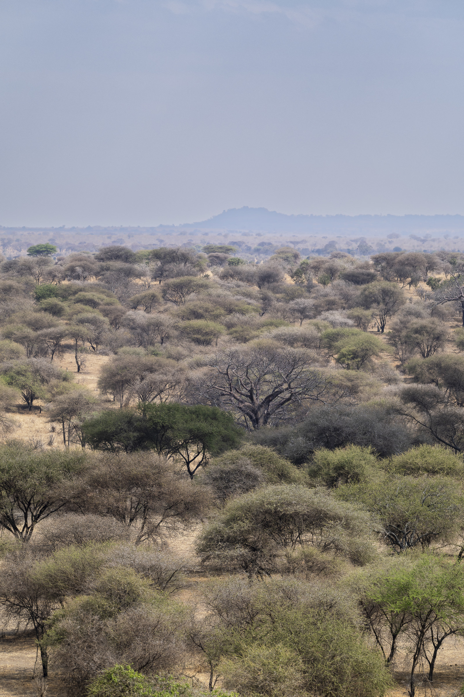 0015-tanzanie-2022.jpg