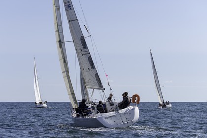 056-obelix-2015.jpg