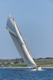 116-hoalen-2024.jpg