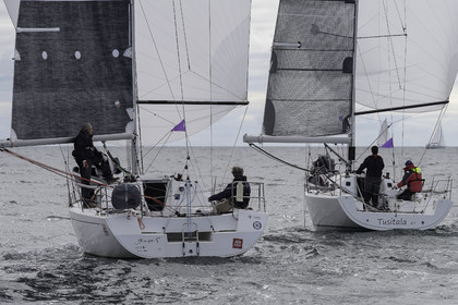 015-spi-2017.jpg