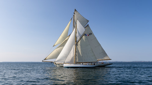 195-hoalen-2024.jpg