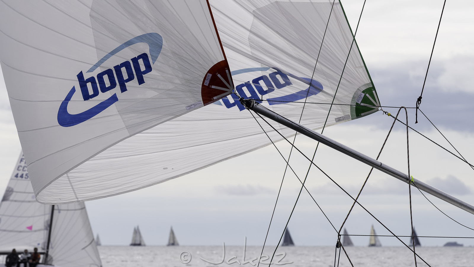 216-spi-2017.jpg