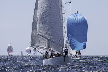 175.jpg