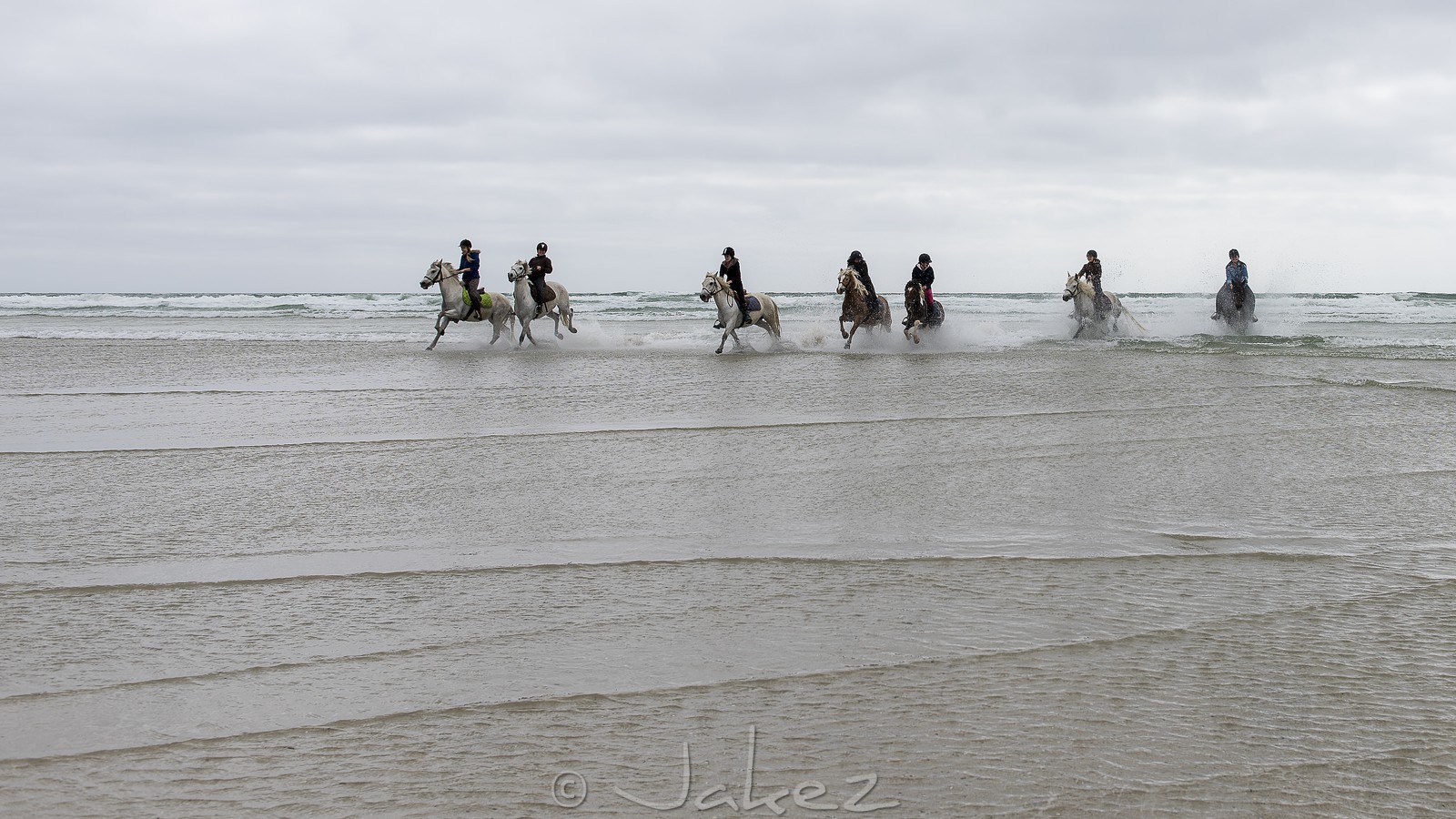 016-chevaux-a-tronoen.jpg