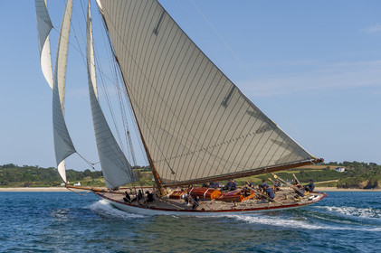 174-hoalen-2024.jpg