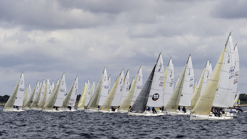 145-spi-2017.jpg
