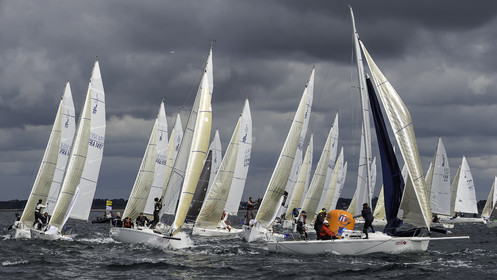 157-spi-2017.jpg