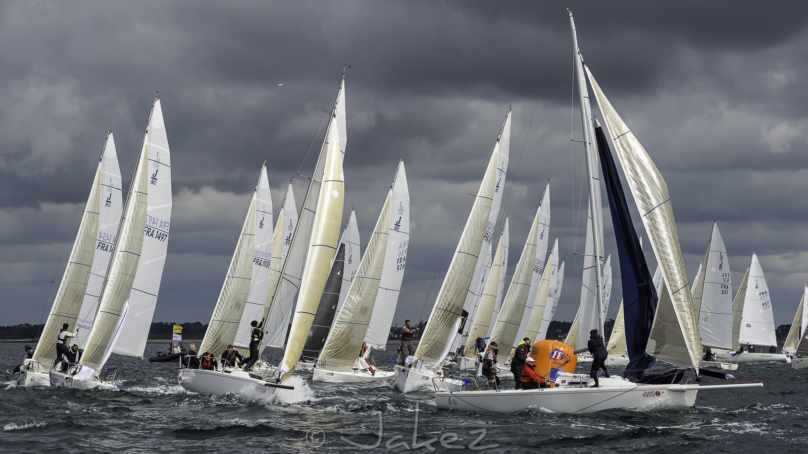 157-spi-2017.jpg