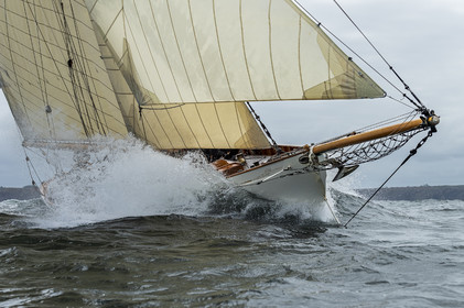 La Hoalen Brest-Douarnenez Classic Finistere est une régate de voiliers classiques magnififiques.