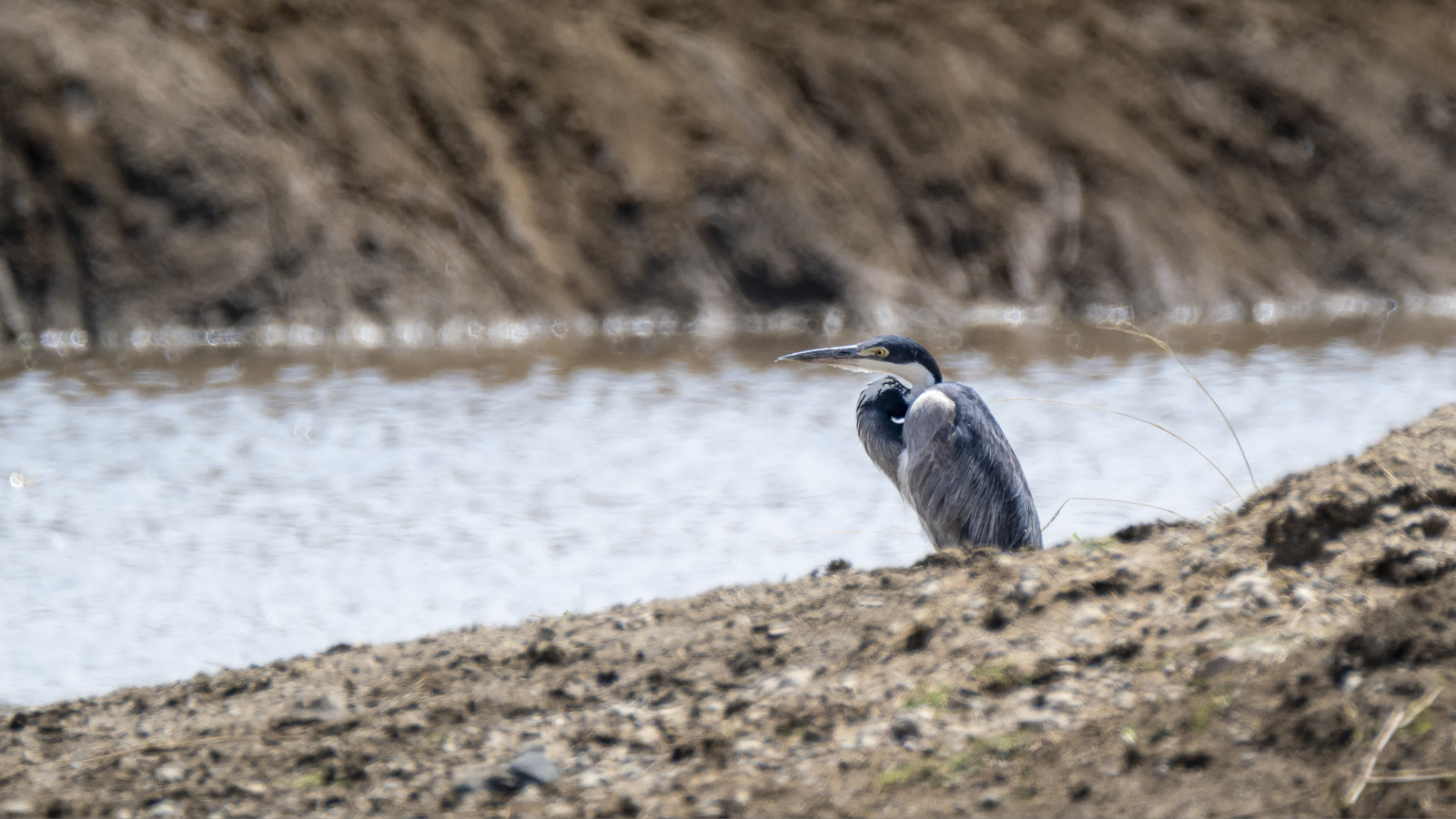 0123-tanzanie-2022.jpg