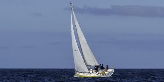 113-tour-des-gle-nan-2017.jpg