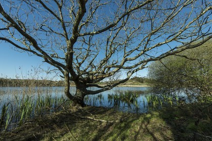 032-etang-de-trunvel.jpg