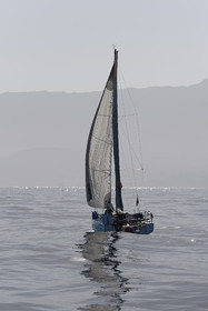 049-mini-2023.jpg