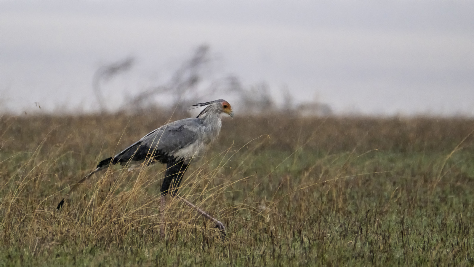 0145-tanzanie-2022.jpg