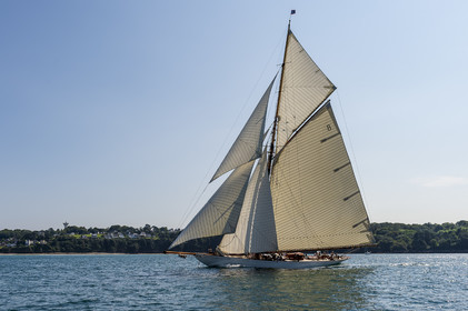 121-hoalen-2024.jpg