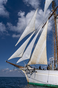 71-etoile.jpg