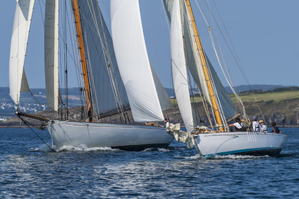 191-hoalen-2024.jpg