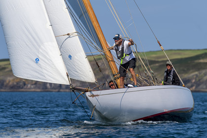 163-hoalen-2024.jpg