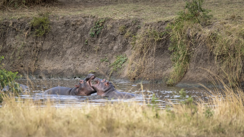 0105-tanzanie-2022.jpg