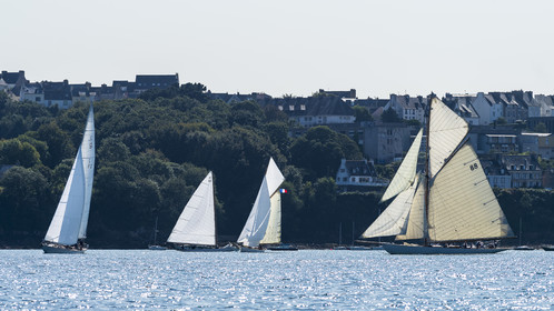 176-hoalen-2024.jpg
