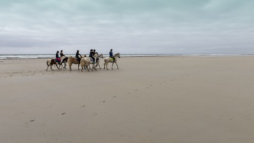 003-chevaux-a-tronoen.jpg