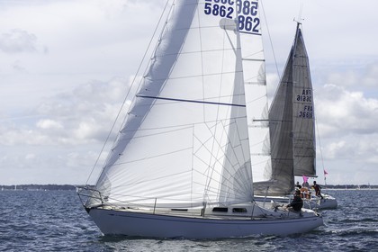 049-obelix-2015.jpg