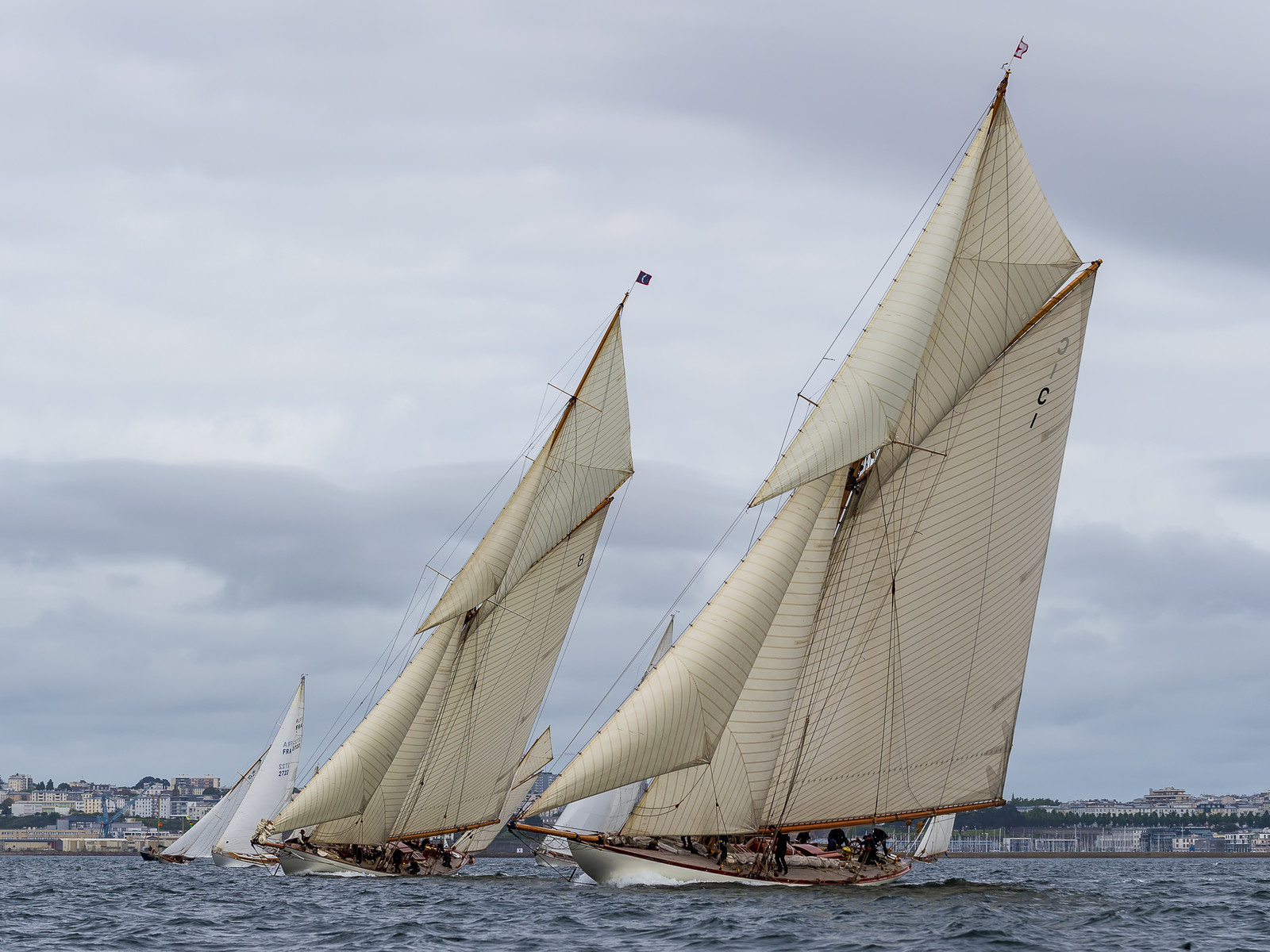 La Hoalen Brest-Douarnenez Classic Finistere est une régate de voiliers classiques magnififiques.