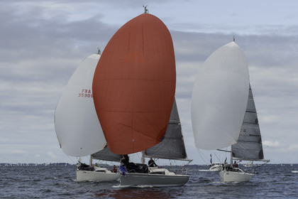 048-spi-2017.jpg