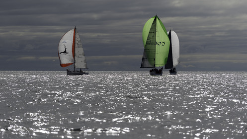 081-spi-2017.jpg