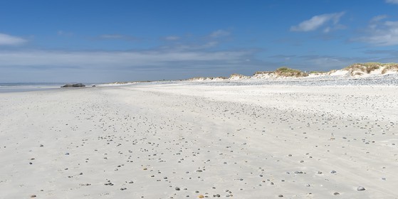 086-tronoen.jpg