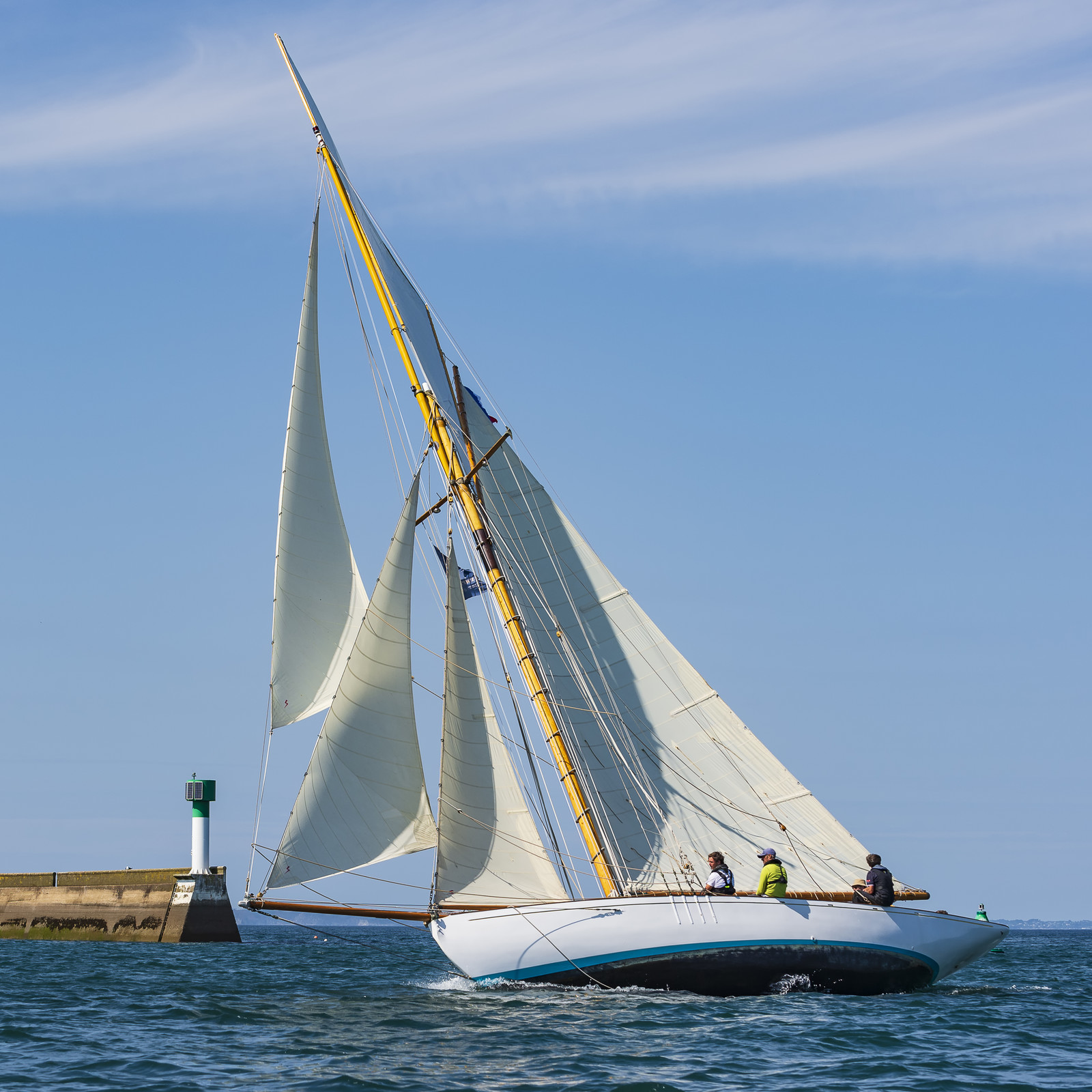 113-hoalen-2024.jpg