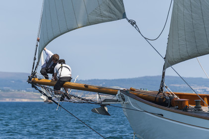 109-hoalen-2024.jpg