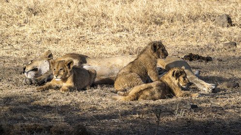 0051-tanzanie-2022.jpg