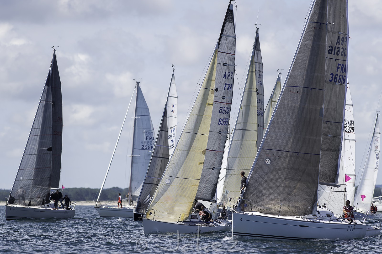 043-obelix-2015.jpg