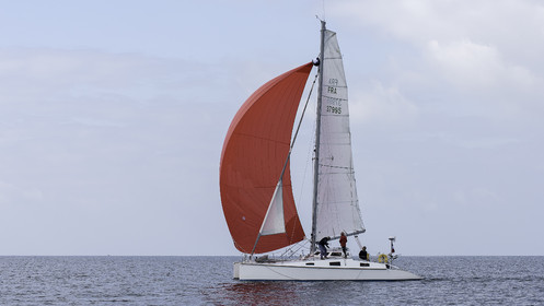 28-multyco-2016.jpg