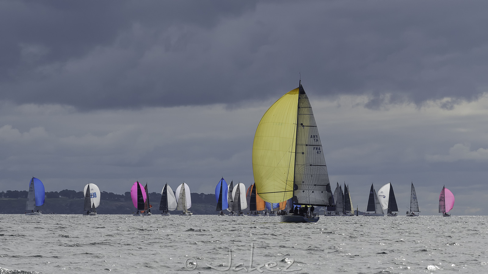 077-spi-2017.jpg