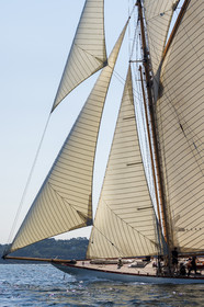 La Hoalen Brest-Douarnenez Classic Finistere est une régate de voiliers classiques magnififiques.