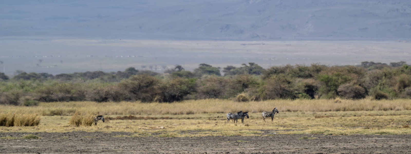 0241-tanzanie-2022.jpg