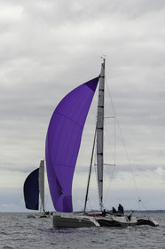 006-spi-2017.jpg