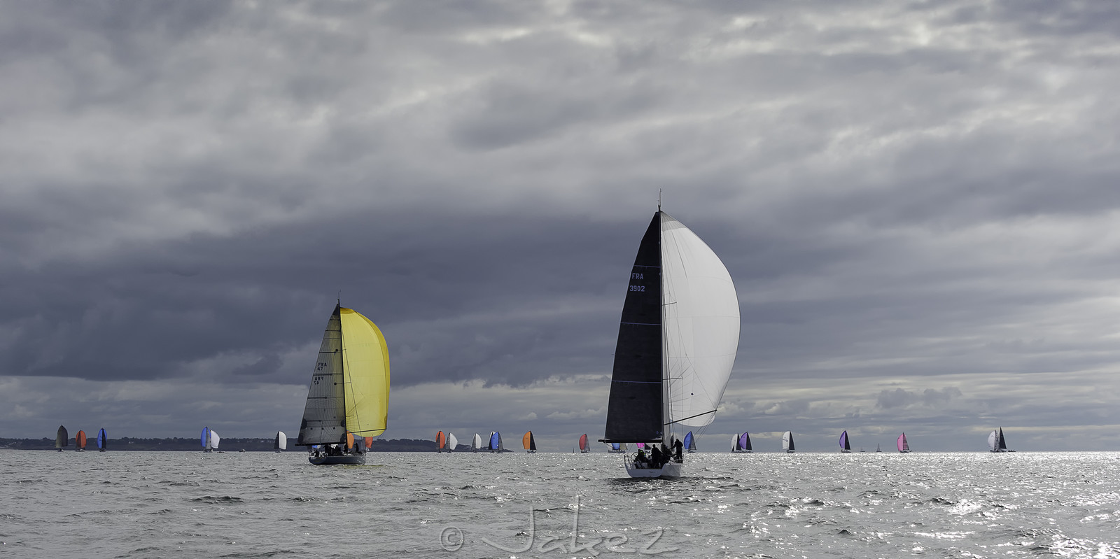 073-spi-2017.jpg