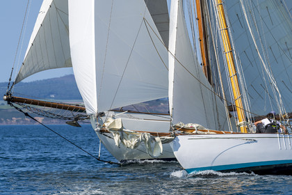 193-hoalen-2024.jpg